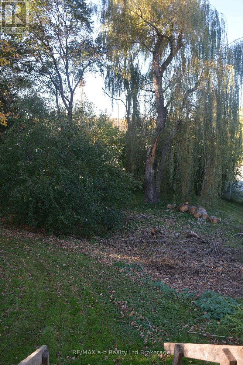183 Charles Street E, Ingersoll, Ontario  N5C 1J9 - Photo 8 - X14120692