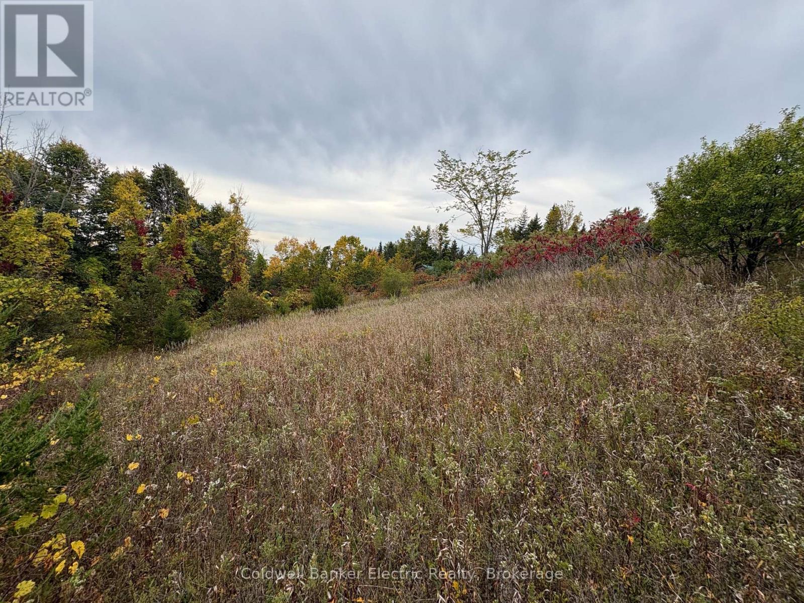 00 Ingham Road (Lot 2 - East), Alnwick/haldimand, Ontario  K0K 1C0 - Photo 3 - X13809330