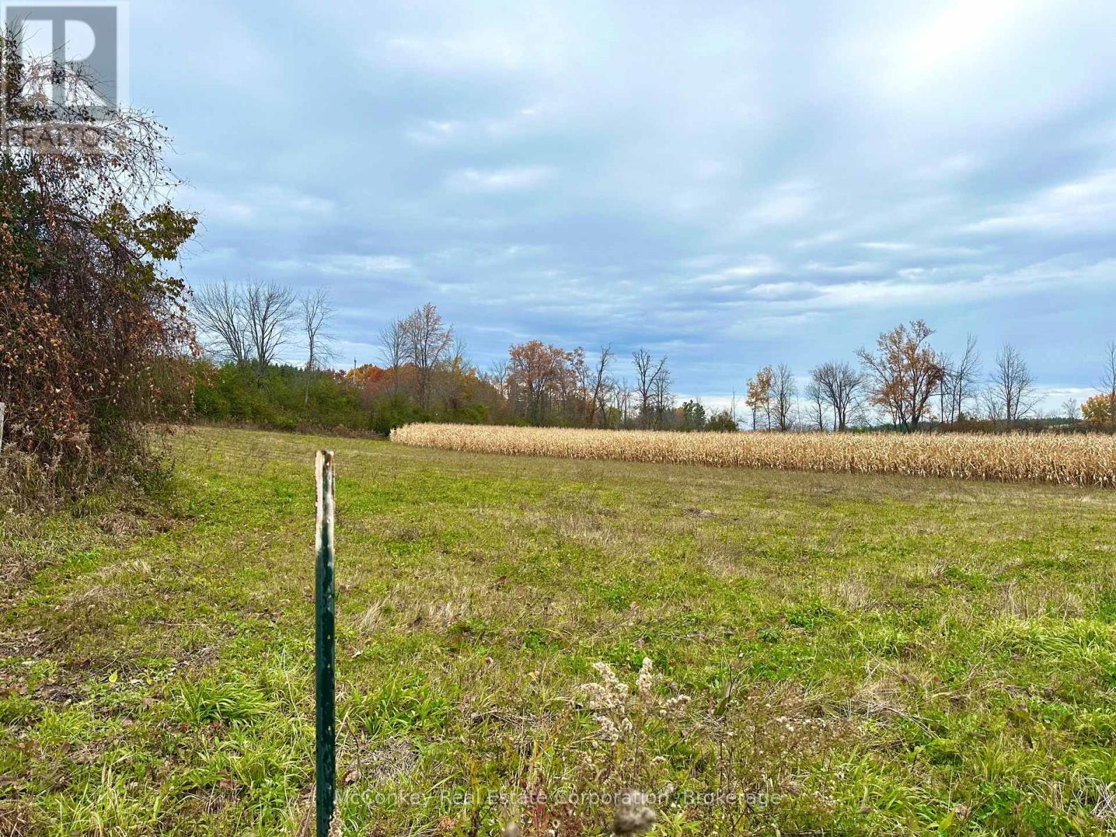 1231 Atchison Road, Otonabee-South Monaghan, Ontario  K0L 1V0 - Photo 8 - X14120858