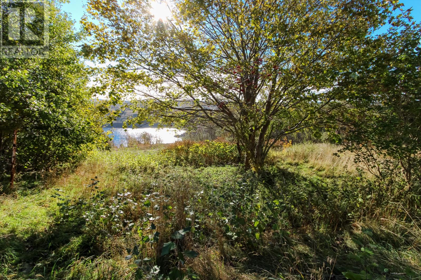 1454 Torbay Road, Torbay — photo 7