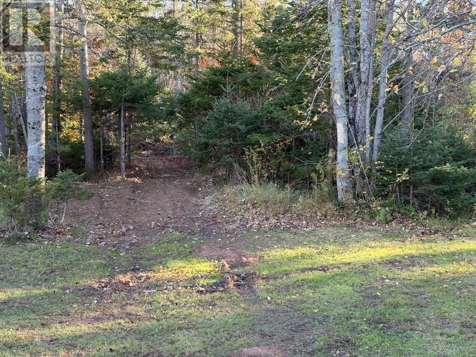 0 Port Hill Station Road, Tyne Valley, Prince Edward Island  C0B 2C0 - Photo 14 - 202626773