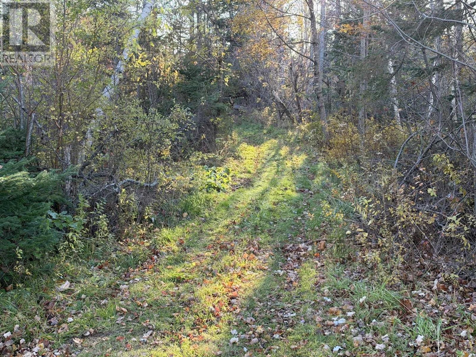 0 Port Hill Station Road, Tyne Valley, Prince Edward Island  C0B 2C0 - Photo 16 - 202626773