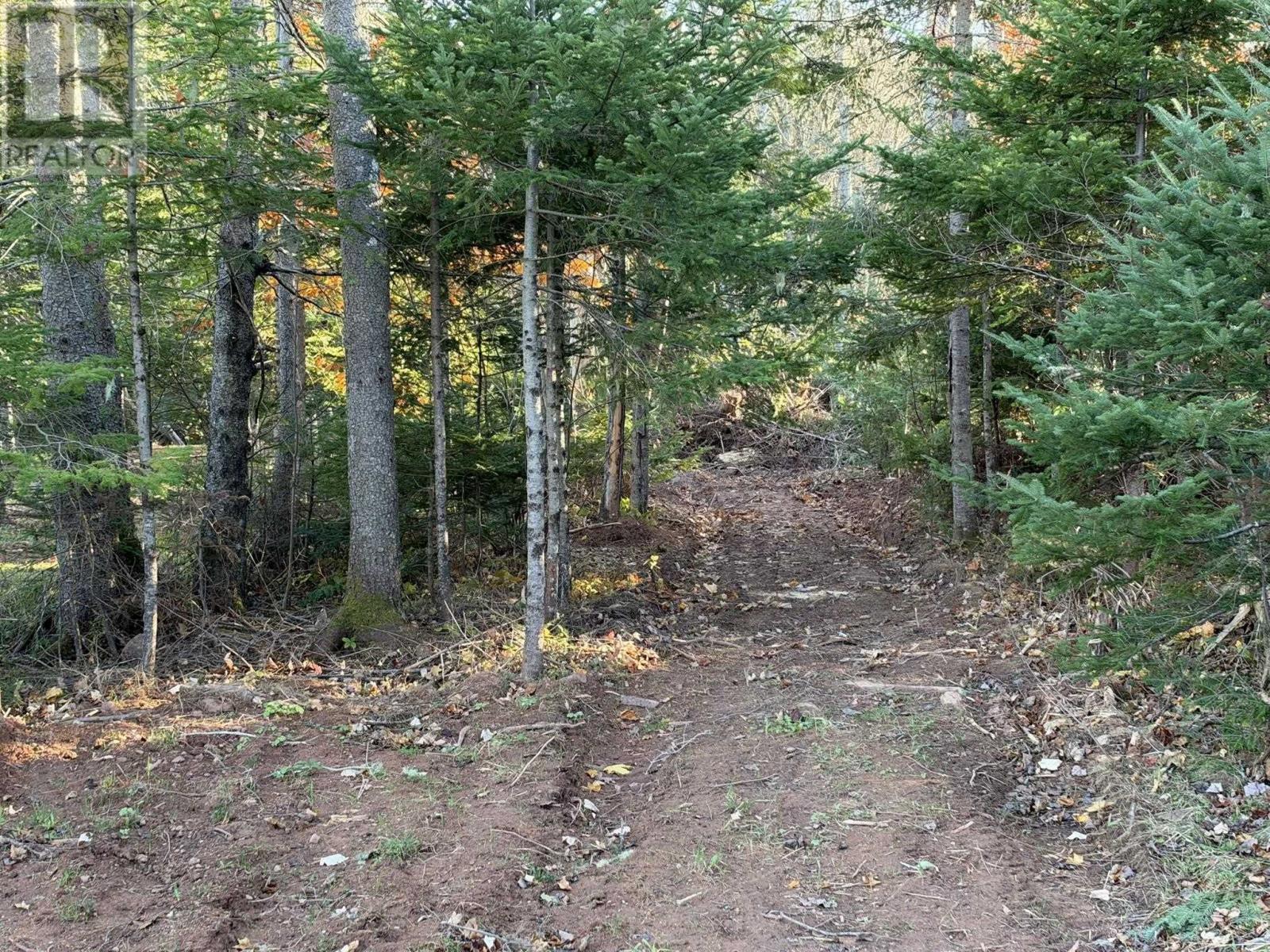 0 Port Hill Station Road, Tyne Valley, Prince Edward Island  C0B 2C0 - Photo 17 - 202626773