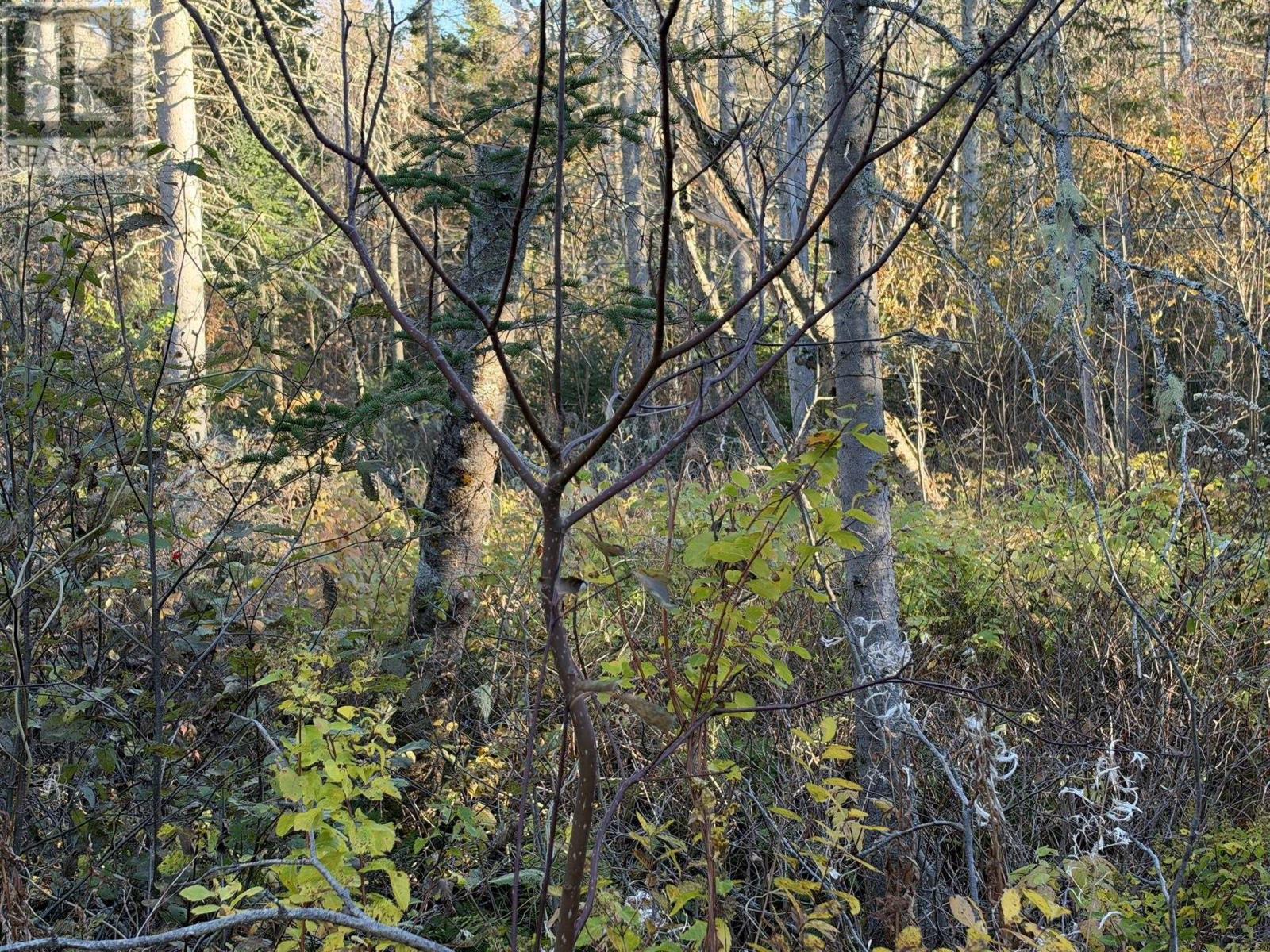 0 Port Hill Station Road, Tyne Valley, Prince Edward Island  C0B 2C0 - Photo 21 - 202626773