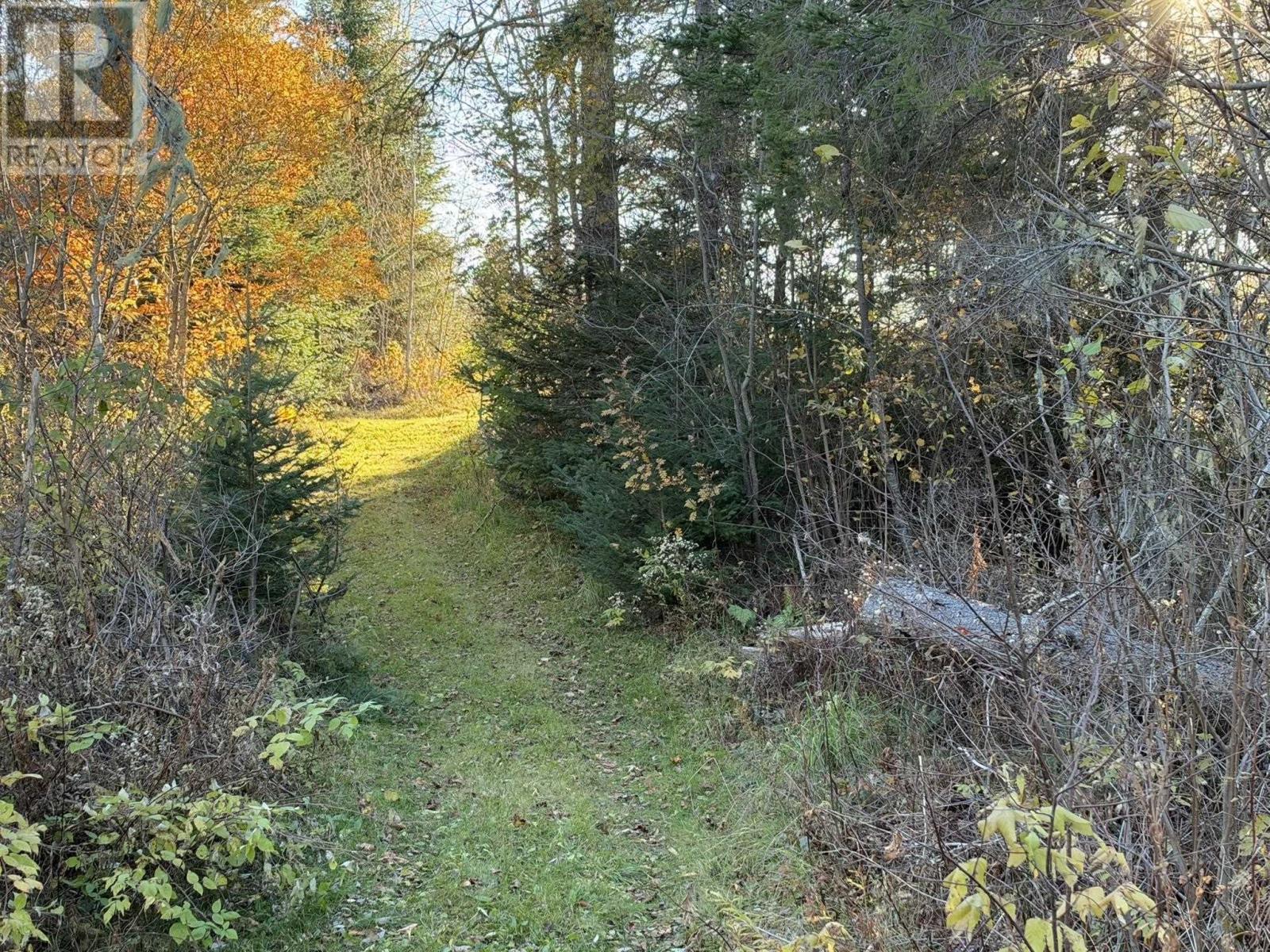 0 Port Hill Station Road, Tyne Valley, Prince Edward Island  C0B 2C0 - Photo 23 - 202626773