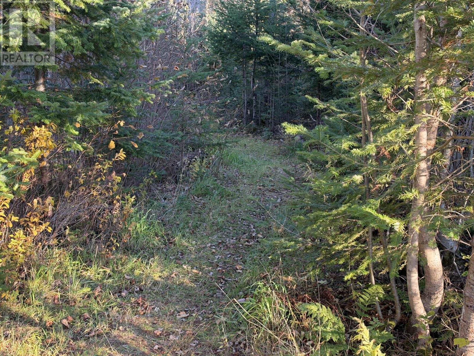 0 Port Hill Station Road, Tyne Valley, Prince Edward Island  C0B 2C0 - Photo 24 - 202626773
