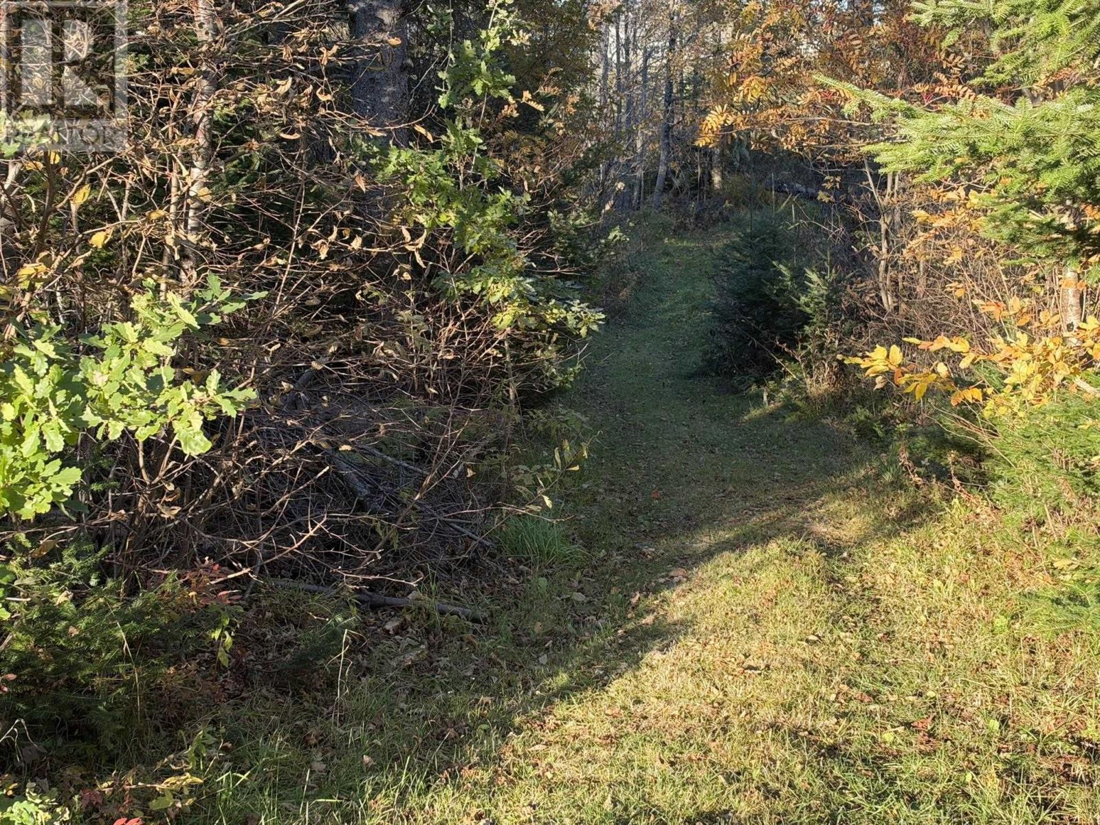 0 Port Hill Station Road, Tyne Valley, Prince Edward Island  C0B 2C0 - Photo 25 - 202626773