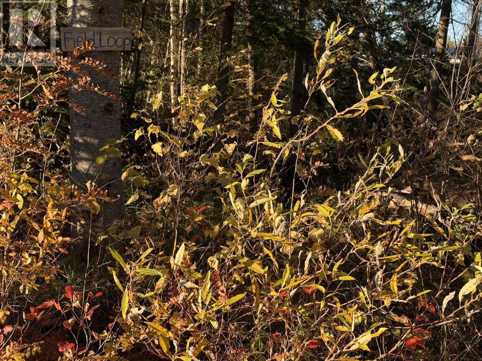 0 Port Hill Station Road, Tyne Valley, Prince Edward Island  C0B 2C0 - Photo 27 - 202626773