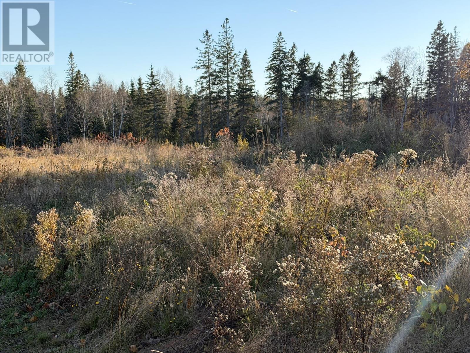 0 Port Hill Station Road, Tyne Valley, Prince Edward Island  C0B 2C0 - Photo 3 - 202626773