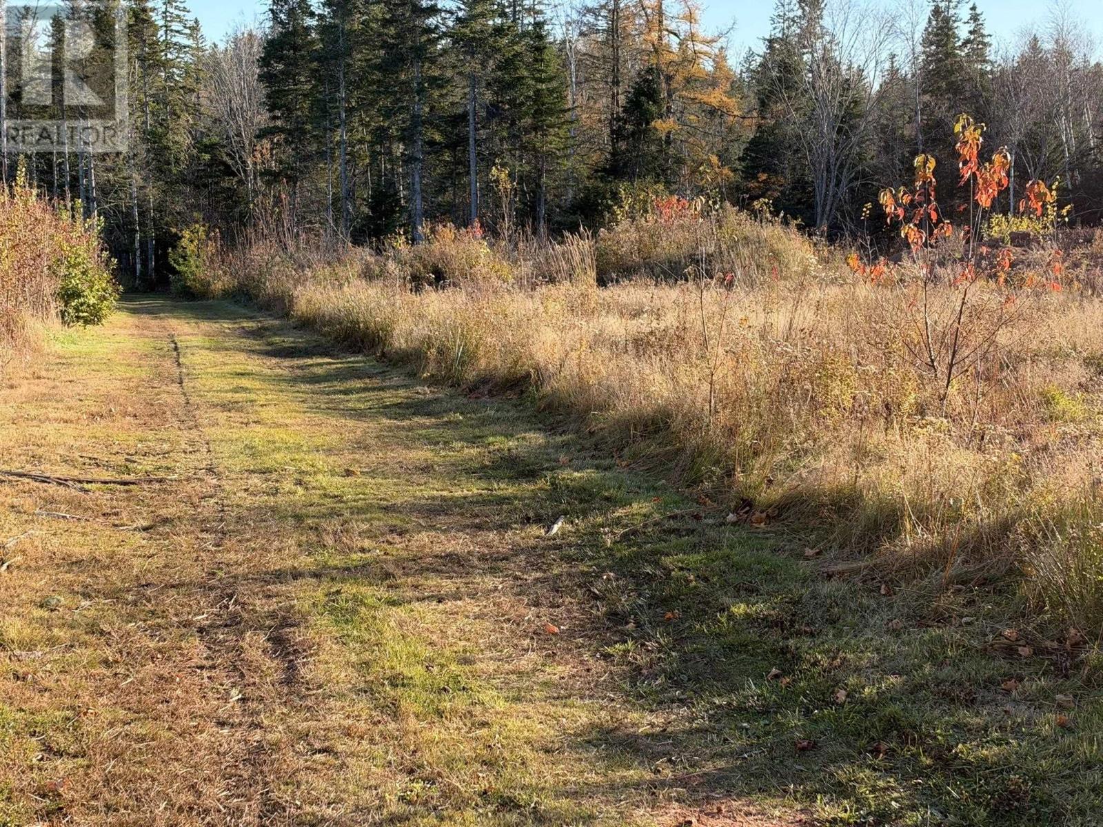 0 Port Hill Station Road, Tyne Valley, Prince Edward Island  C0B 2C0 - Photo 6 - 202626773