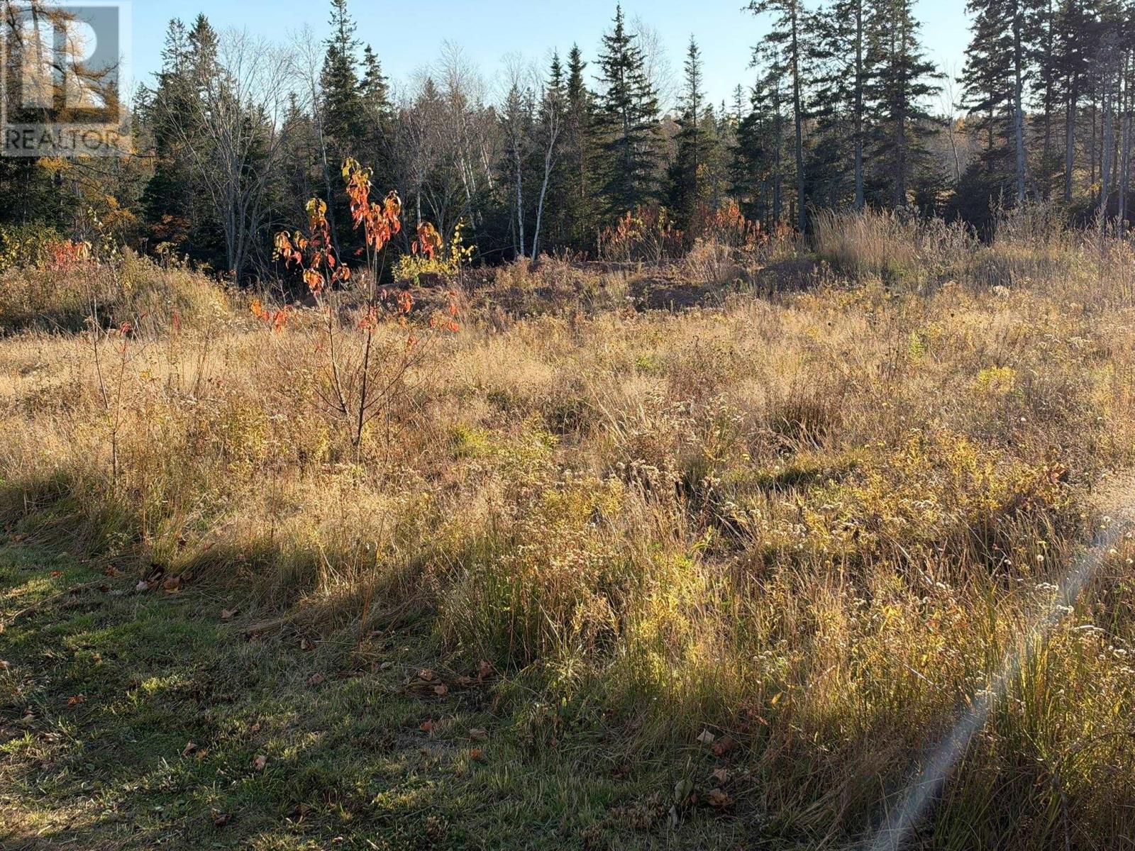 0 Port Hill Station Road, Tyne Valley, Prince Edward Island  C0B 2C0 - Photo 9 - 202626773