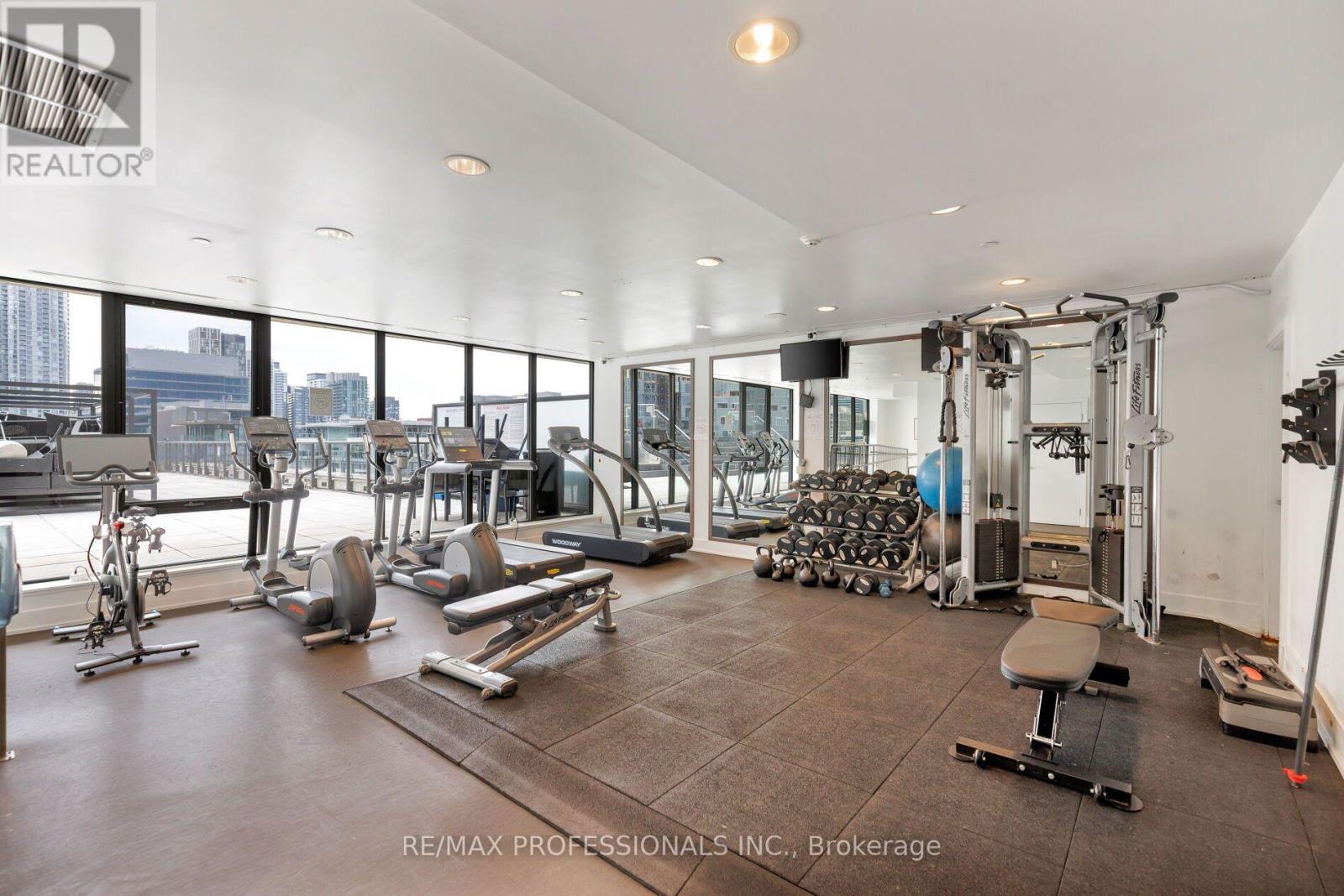 226 - 560 King Street W, Toronto (Waterfront Communities), Ontario  M5V 1M3 - Photo 25 - C14121782