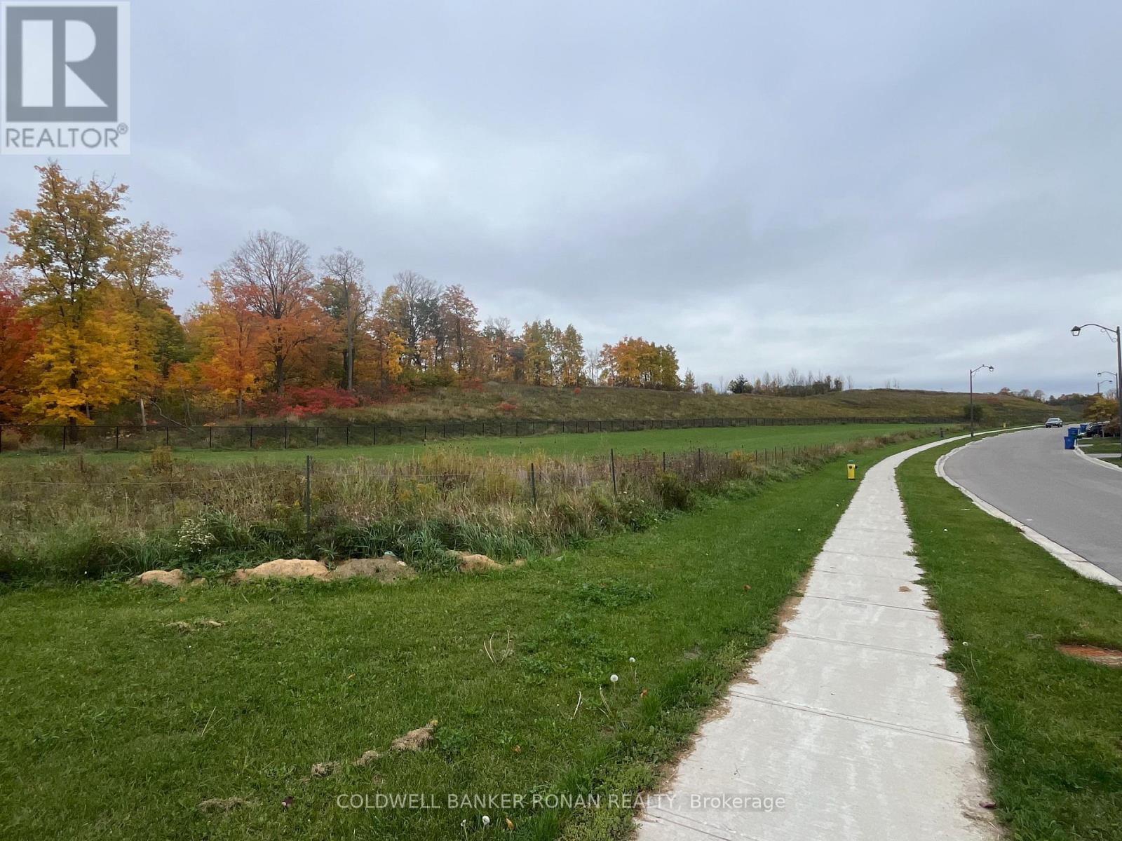 46 Terrain Court, East Gwillimbury (Holland Landing), Ontario  L9N 0T2 - Photo 10 - N14121804