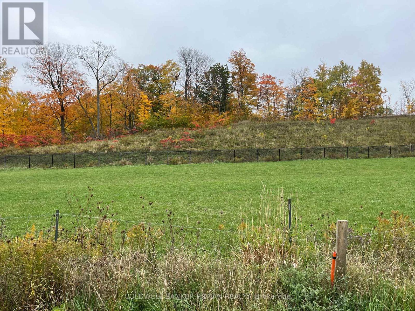 46 Terrain Court, East Gwillimbury (Holland Landing), Ontario  L9N 0T2 - Photo 9 - N14121804