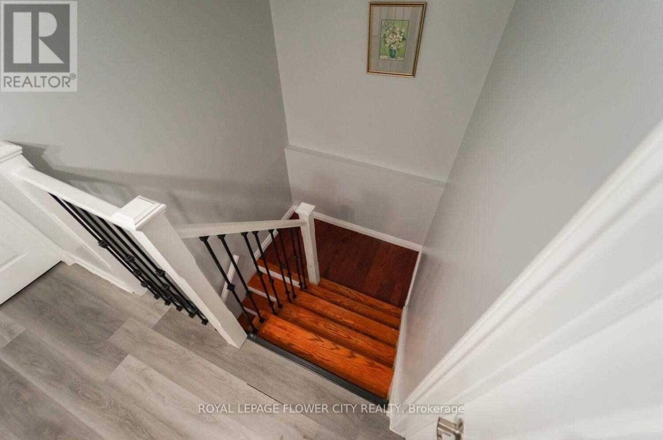 28 Junewood Crescent, Brampton, Ontario  L6S 3T6 - Photo 3 - W14121882