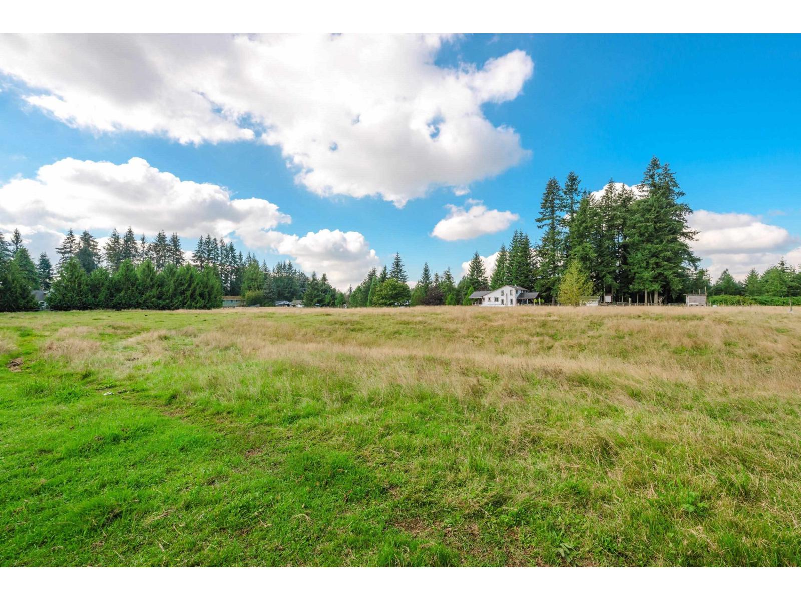 5299 245a Street, Langley, British Columbia  V2Z 1H8 - Photo 6 - R3178741
