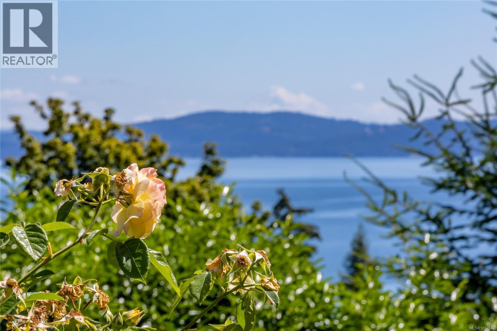 4916 Lochside Dr, Saanich, British Columbia  V8Y 2E4 - Photo 4 - 1052842