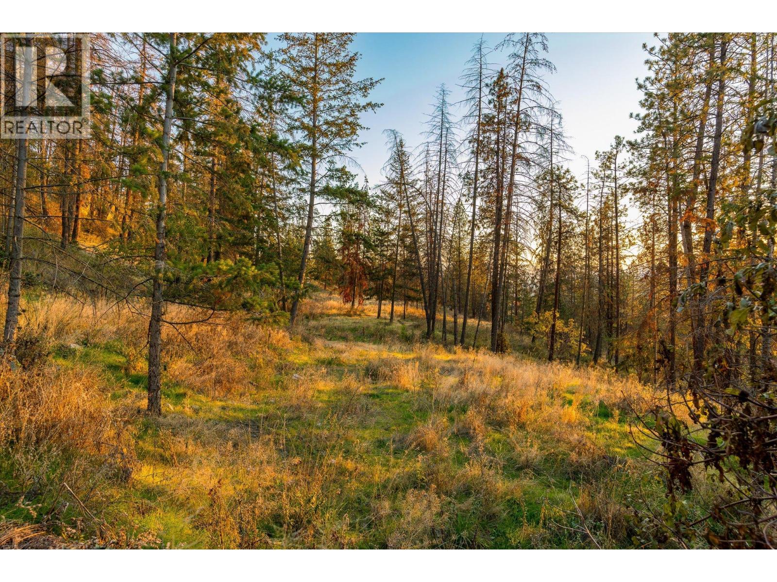5500 Rockface Road, Kelowna, British Columbia  V1X 7V7 - Photo 65 - 10403823