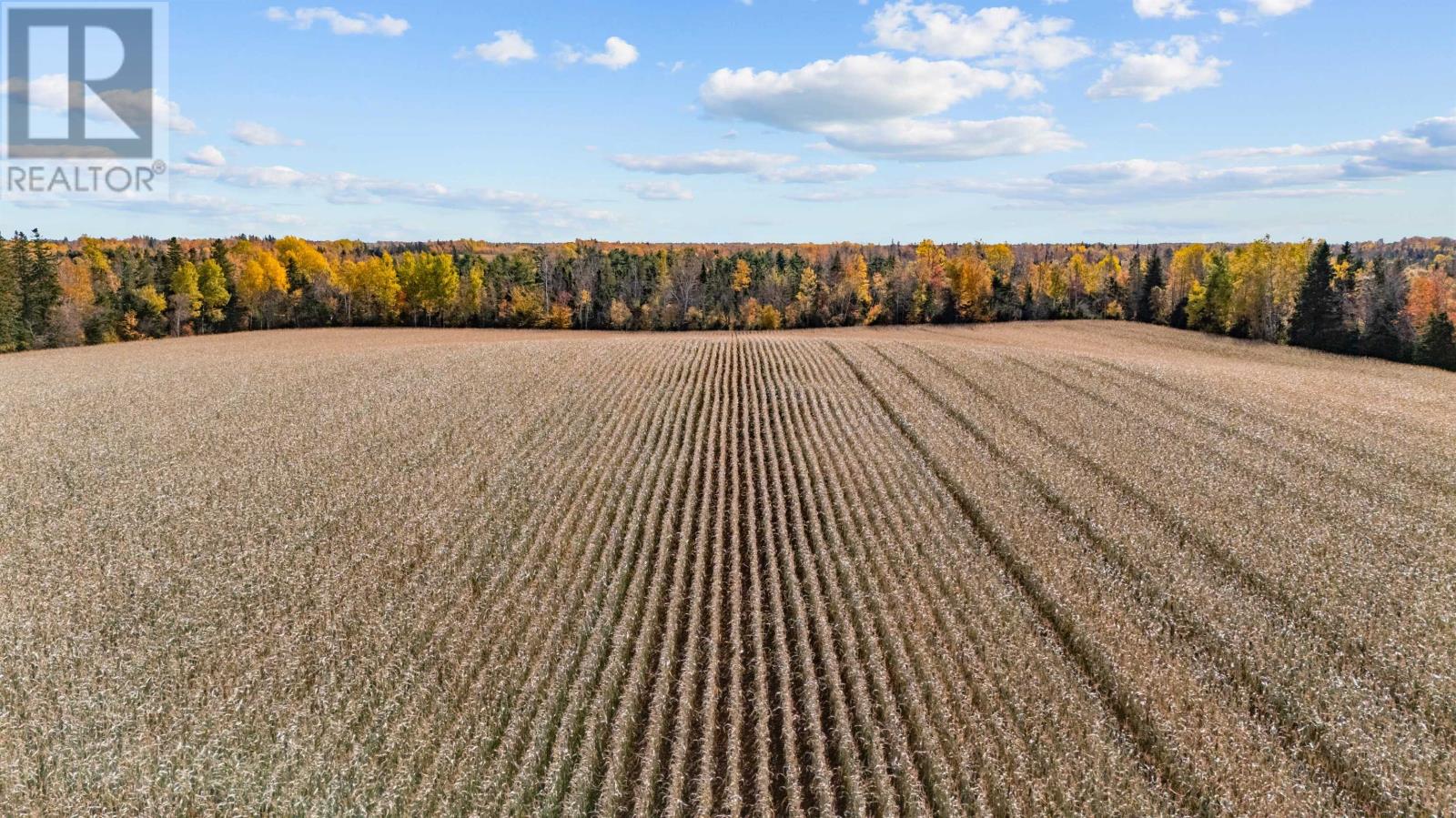 108 Acres Gladstone Road, Murray River, Prince Edward Island  C0A 1W0 - Photo 10 - 202626787