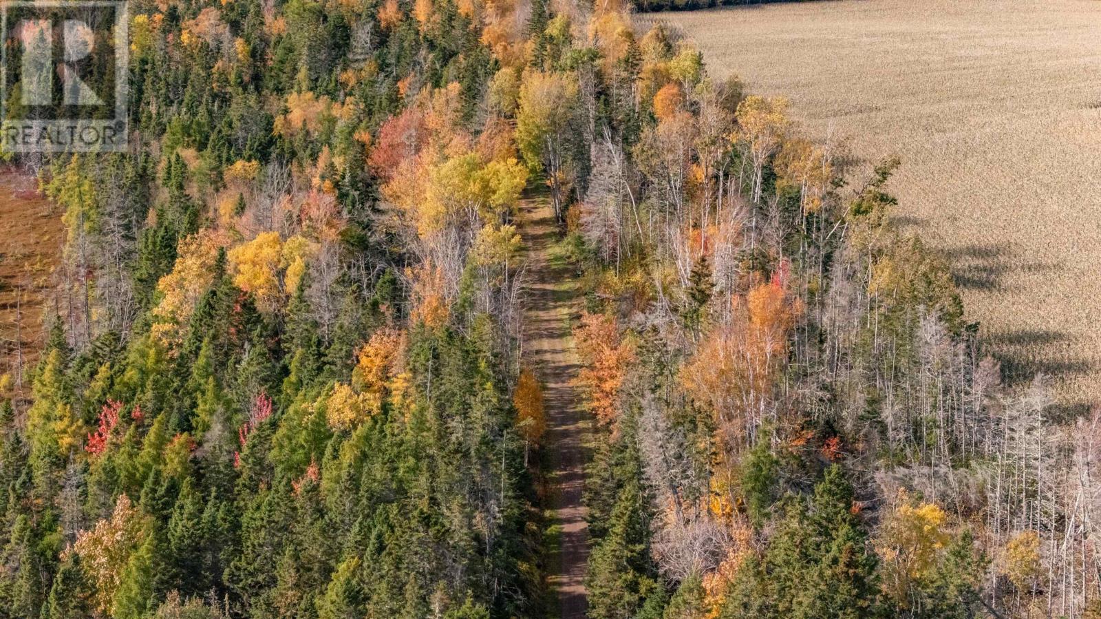 108 Acres Gladstone Road, Murray River, Prince Edward Island  C0A 1W0 - Photo 23 - 202626787