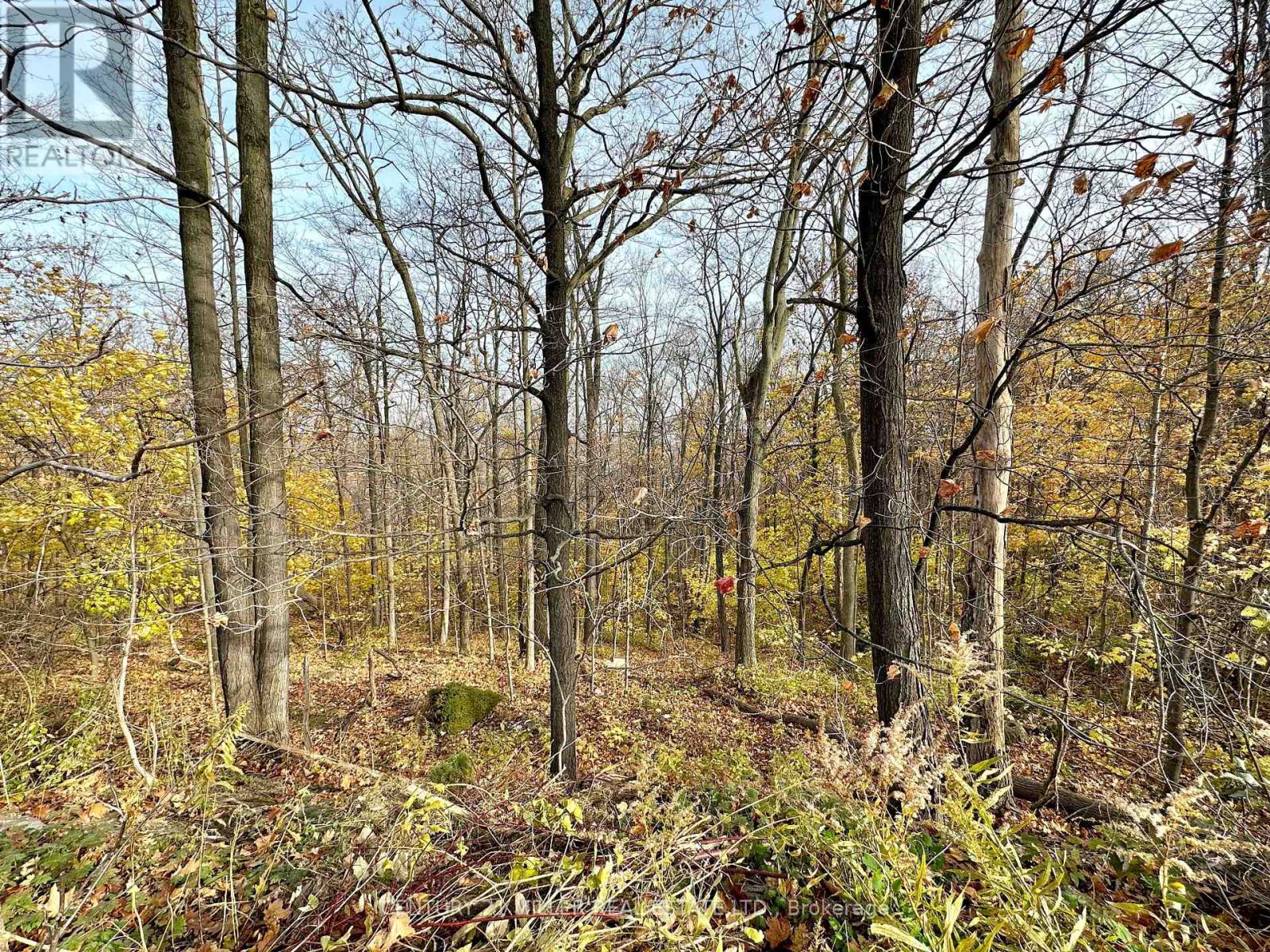 49 Ridge Road E, Grimsby, Ontario  L3M 4E7 - Photo 14 - X14029518