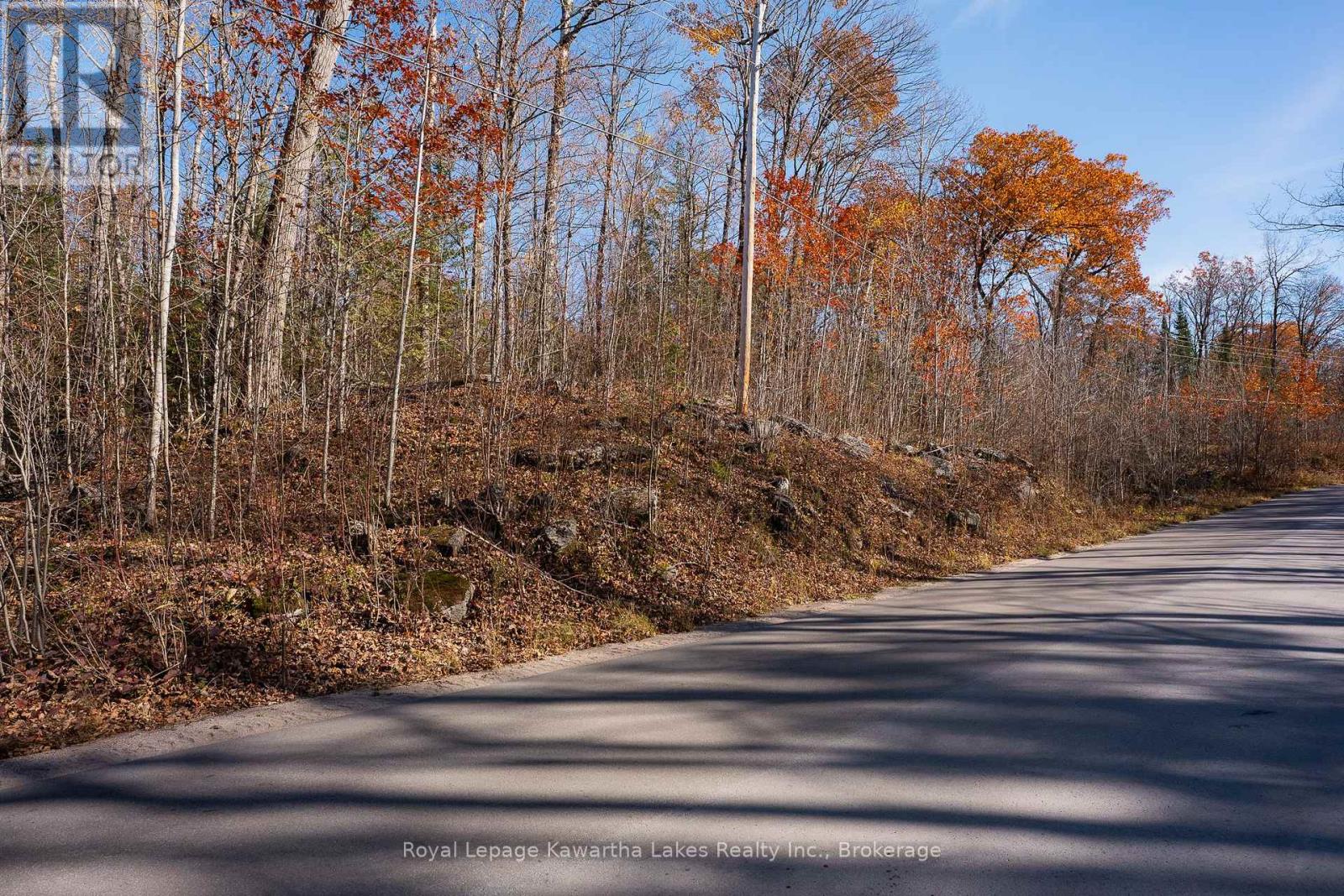 18 Hugill Road, Kawartha Lakes, Ontario  K0M 1K0 - Photo 8 - X14123706