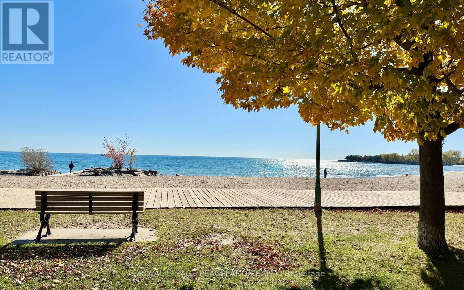 5 HERBERT AVENUE, Toronto, Ontario