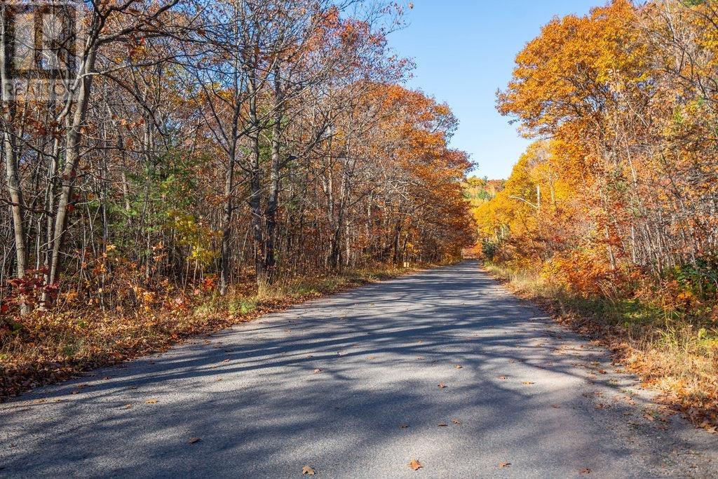 Lot 2 Douglas Dr, Prince Township, Ontario  P6A 6K4 - Photo 4 - SM263002