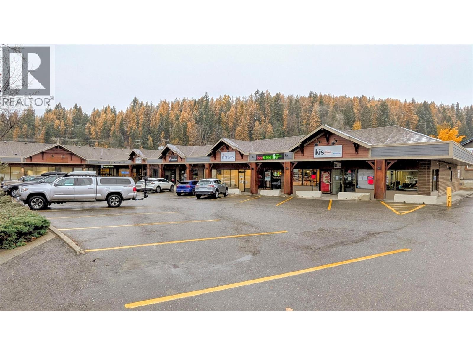 311 Wallinger Avenue, Kimberley, British Columbia  V1A 1Z3 - Photo 17 - 10404395