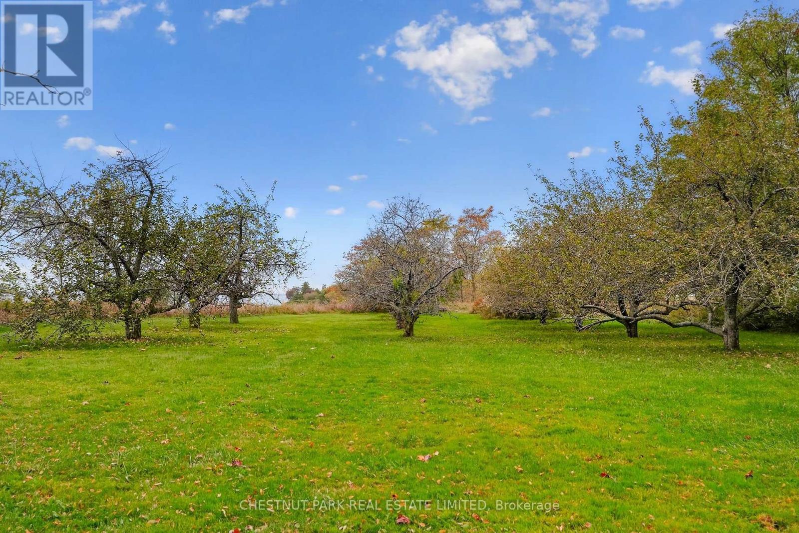 3797 Lakeshore Road, Clarington, Ontario  L1B 1L9 - Photo 24 - E14124558