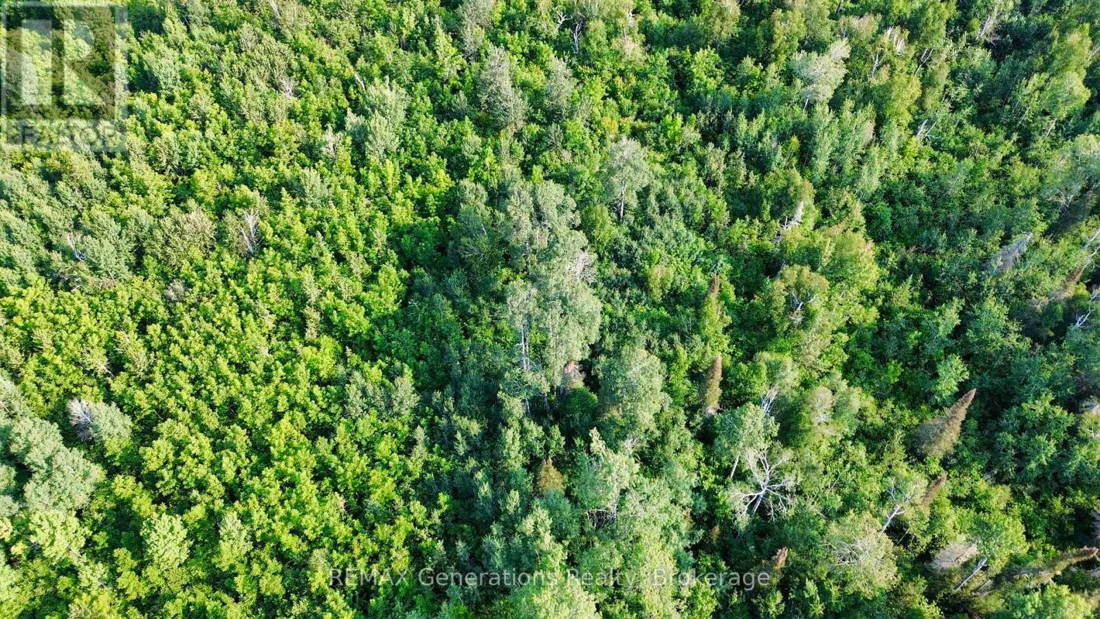263 Cloud River Road E, Neebing, Ontario  P7L 0A9 - Photo 8 - X14124536
