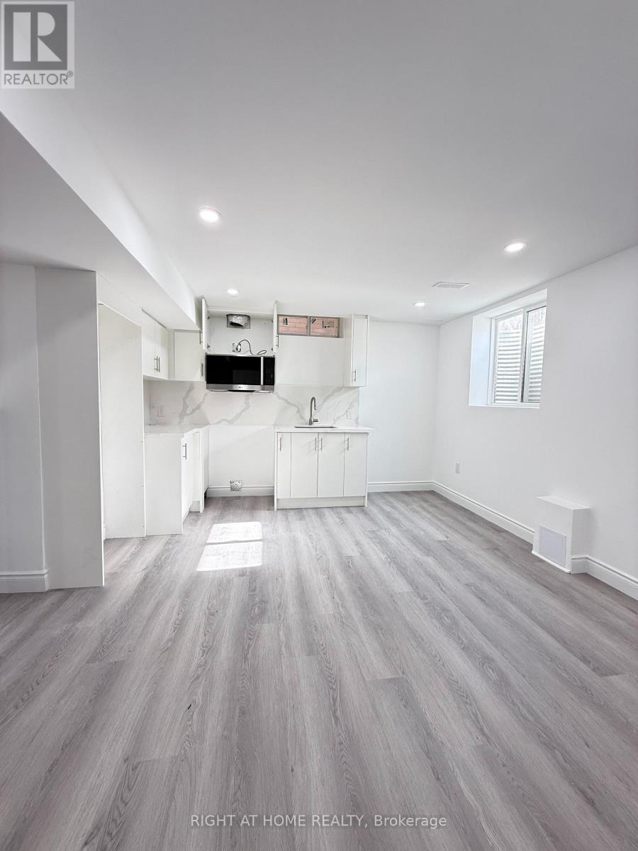 Basement - 42 Whistler Street, Hamilton, Ontario  L0P 1P0 - Photo 3 - X14124472