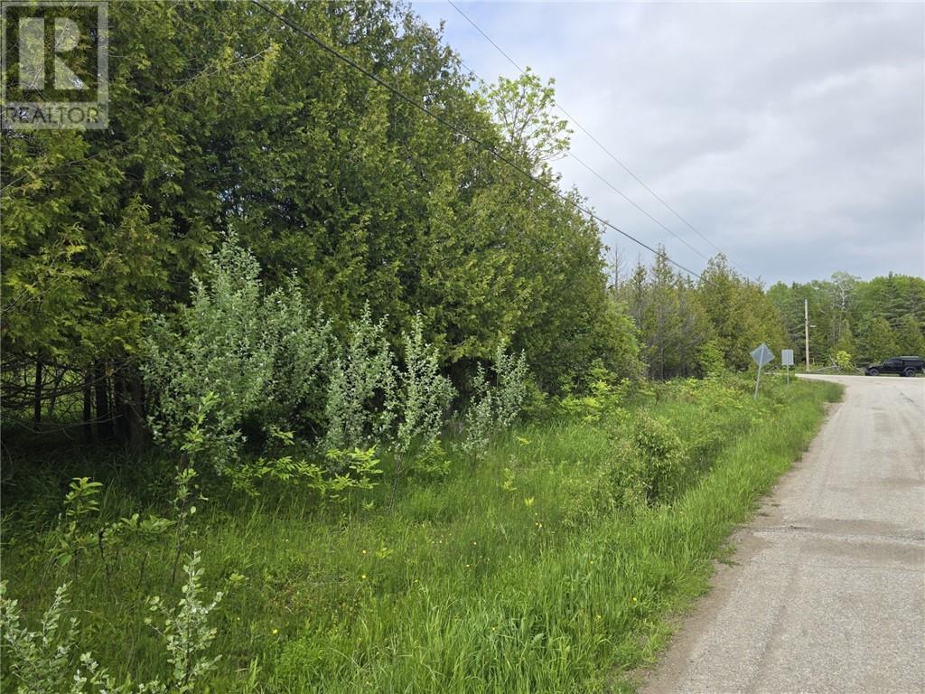 0 Bay St, Honora Bay, Ontario  P0P 1K0 - Photo 10 - 2131146
