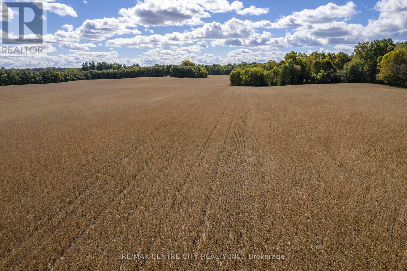 Pt Lt 113 Culloden Road, Bayham, Ontario  N0J 1H0 - Photo 18 - X14008880