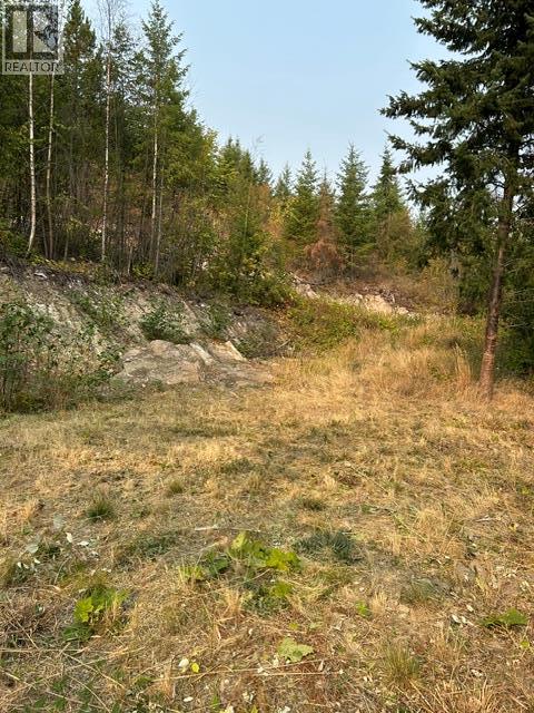 Lot 16 Osprey Point, Renata, British Columbia  V1N 3N3 - Photo 41 - 10401704