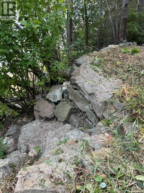 Lot 16 Osprey Point, Renata, British Columbia  V1N 3N3 - Photo 36 - 10401704