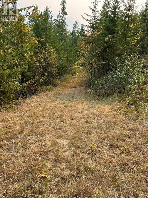Lot 16 Osprey Point, Renata, British Columbia  V1N 3N3 - Photo 42 - 10401704