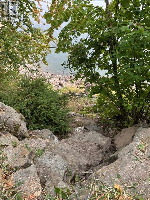 Lot 16 Osprey Point, Renata, British Columbia  V1N 3N3 - Photo 37 - 10401704