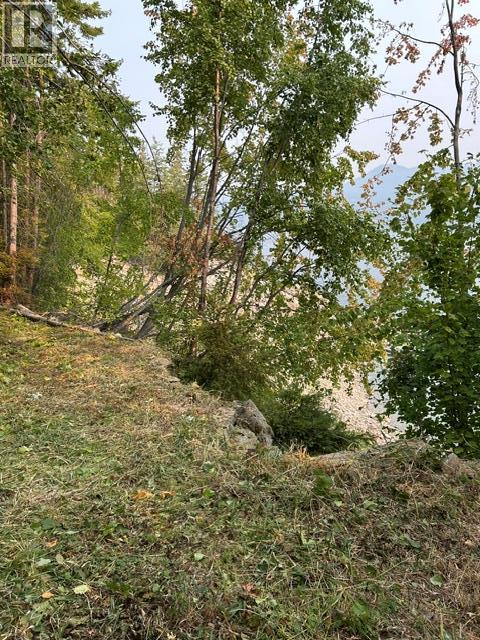 Lot 16 Osprey Point, Renata, British Columbia  V1N 3N3 - Photo 45 - 10401704