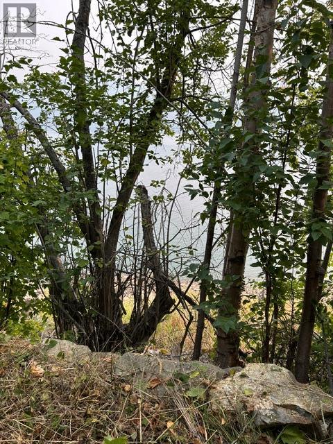 Lot 16 Osprey Point, Renata, British Columbia  V1N 3N3 - Photo 38 - 10401704