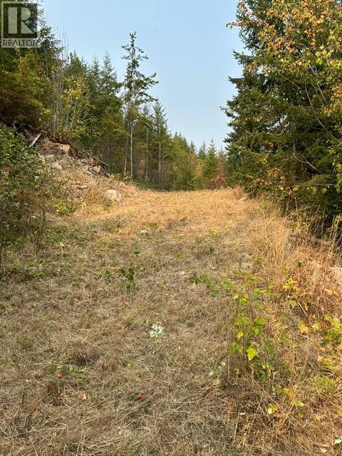 Lot 16 Osprey Point, Renata, British Columbia  V1N 3N3 - Photo 40 - 10401704