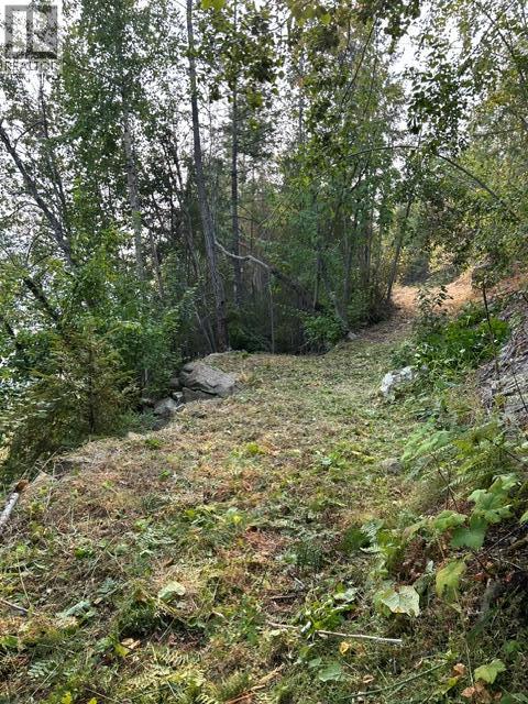 Lot 16 Osprey Point, Renata, British Columbia  V1N 3N3 - Photo 35 - 10401704