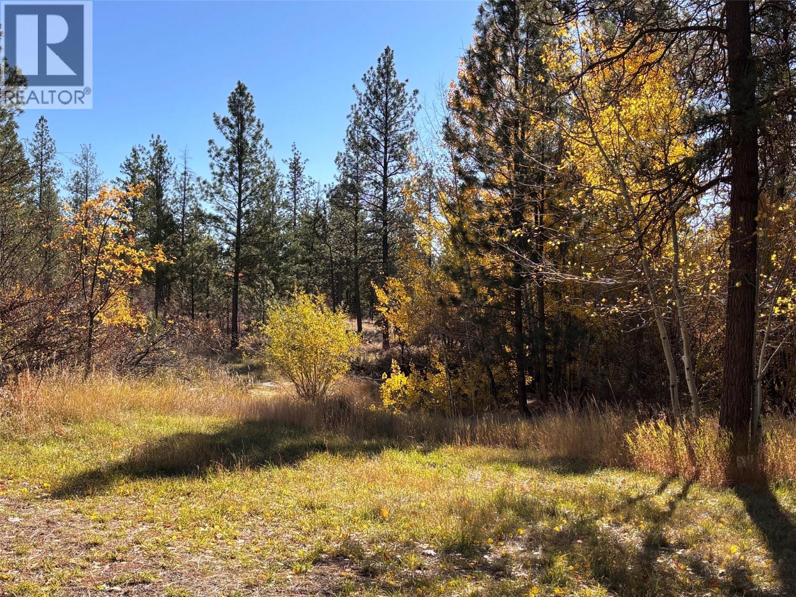 161 Long Joe Road, Osoyoos, British Columbia  V0H 1V6 - Photo 3 - 10404619