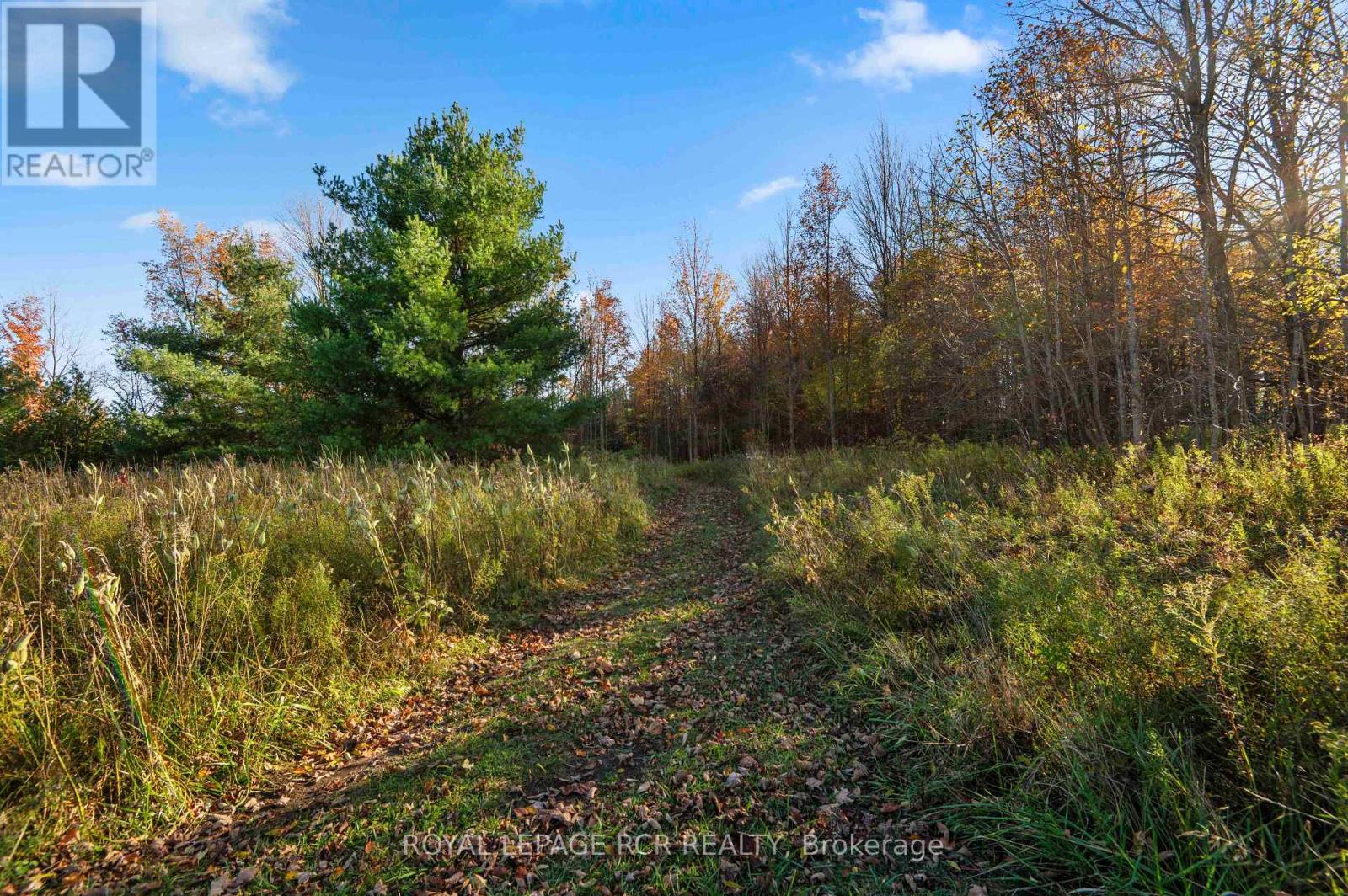 343577 North Line, West Grey, Ontario  N0C 1K0 - Photo 14 - X14125842
