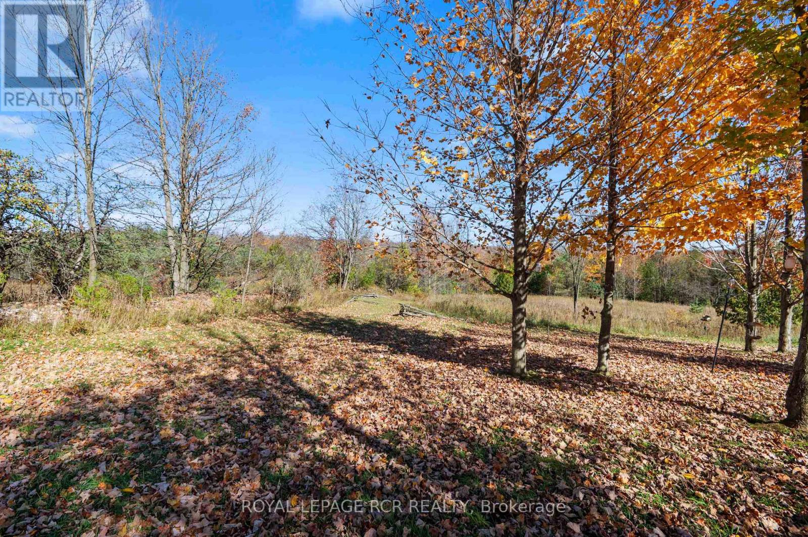 343577 North Line, West Grey, Ontario  N0C 1K0 - Photo 18 - X14125842