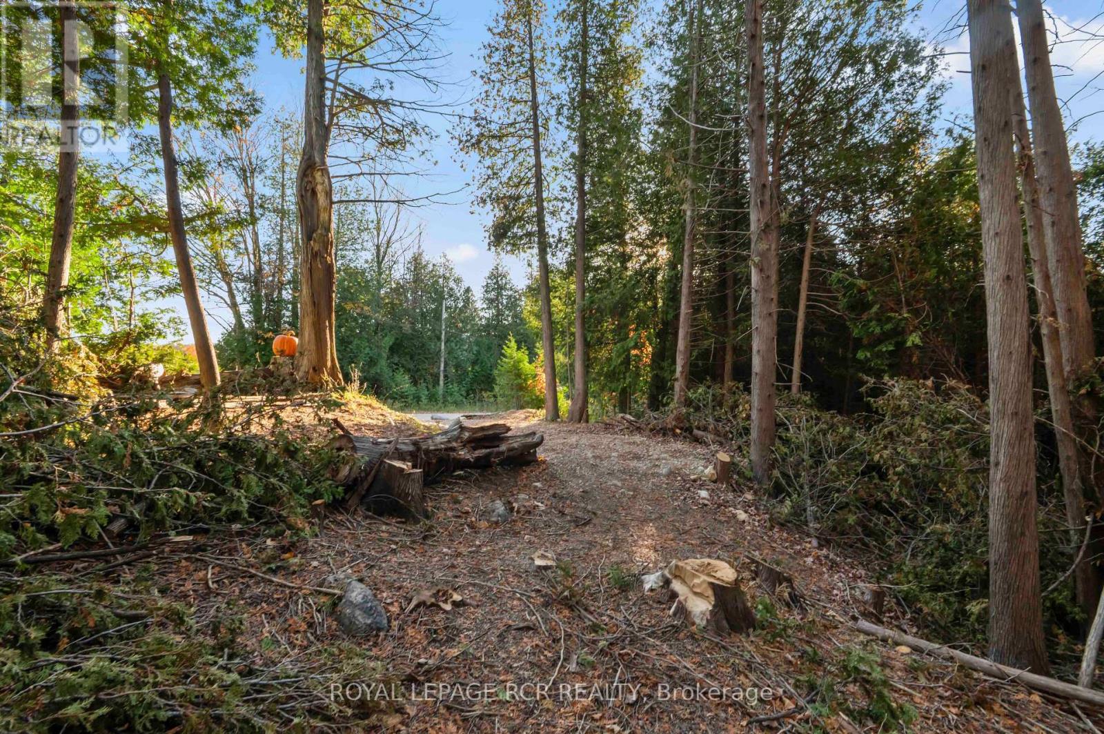 343577 North Line, West Grey, Ontario  N0C 1K0 - Photo 26 - X14125842