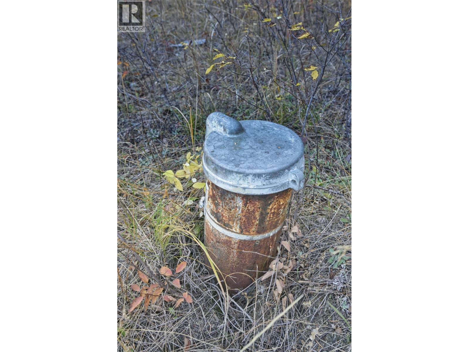 6211 Bugaboo Drive, Radium Hot Springs, British Columbia  V0A 1E0 - Photo 47 - 10403390
