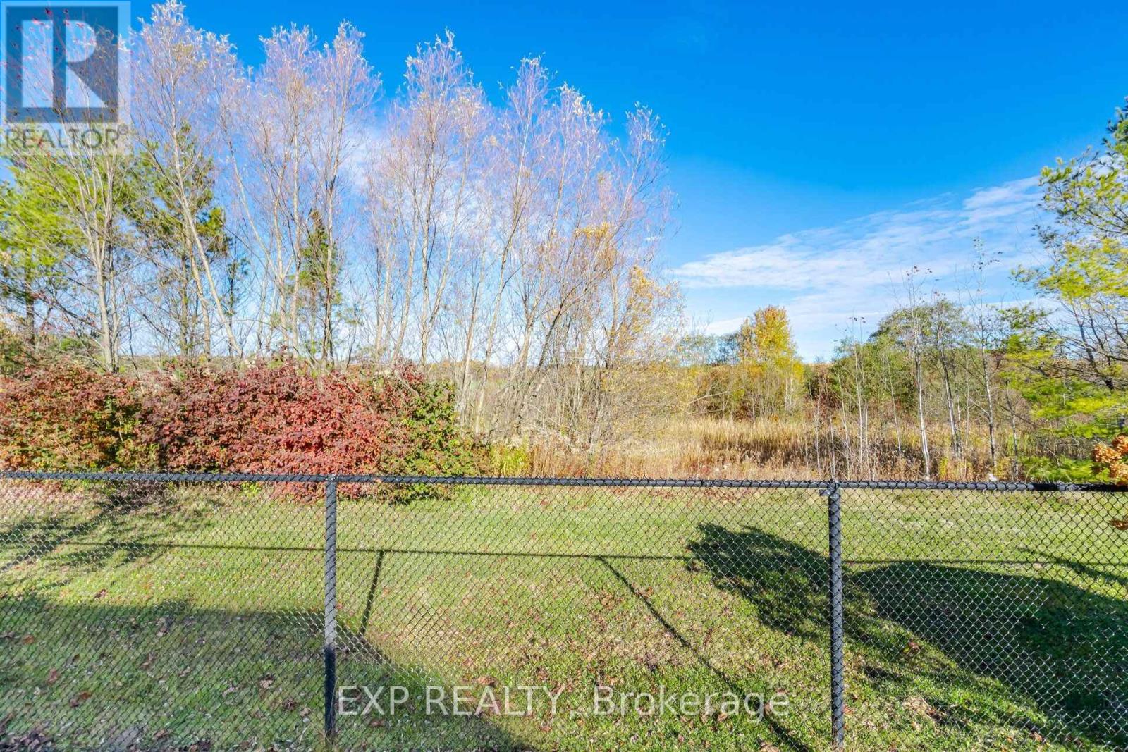 16 Shephard Avenue, New Tecumseth, Ontario  L9R 2E6 - Photo 47 - N14125260