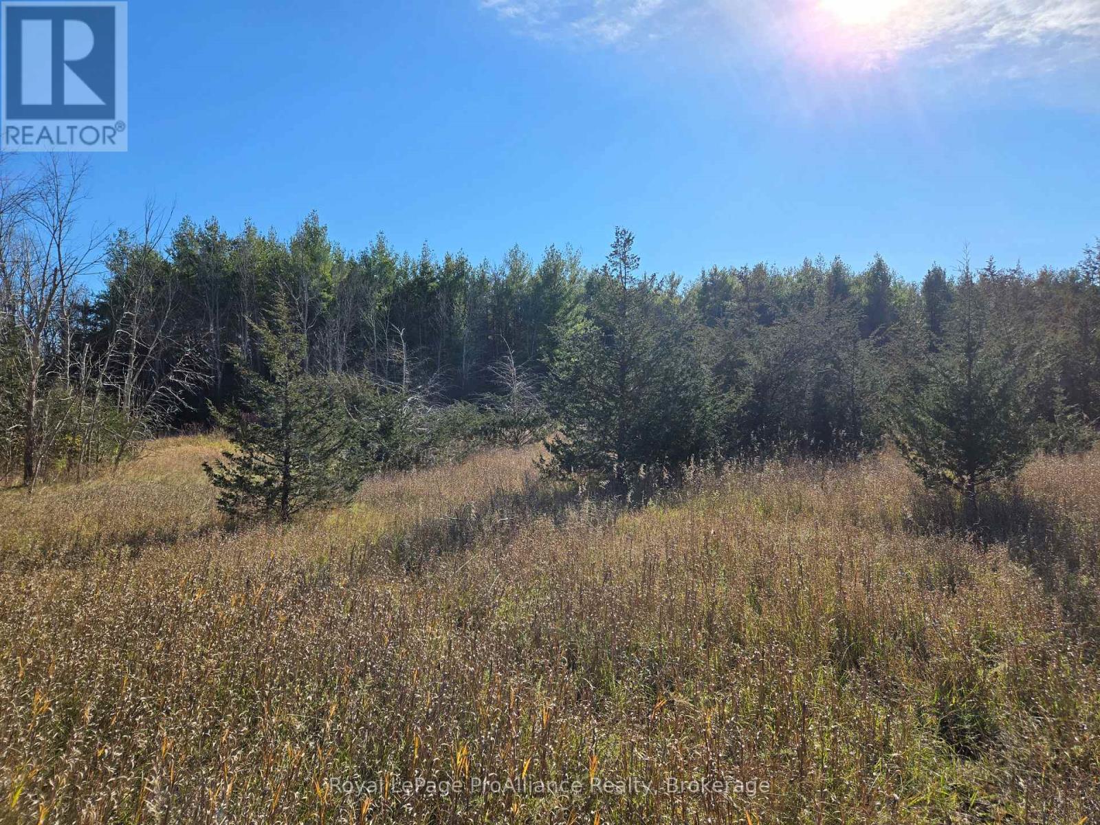 544 Lazier Road, Tyendinaga, Ontario  K8N 4Z6 - Photo 8 - X14118192