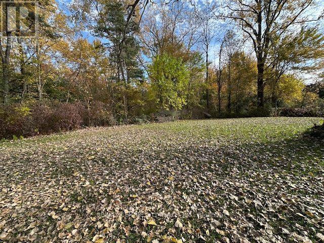 22726 Hagerty Road, Newbury, Ontario  N0L 1Z0 - Photo 7 - X14127210